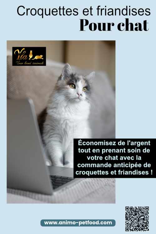 Commande Croquettes et Friandises pour Chat : Économisez dès maintenant !